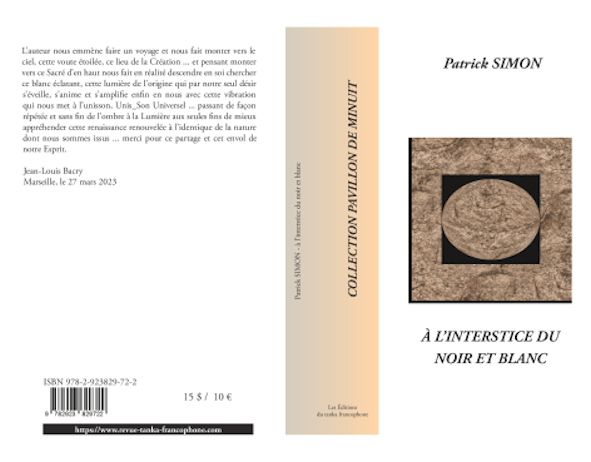 à l'interstice du noir et blanc