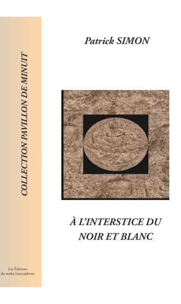 à l'interstice du noir et blanc